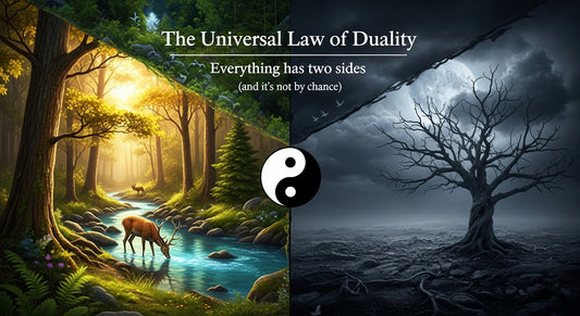 Ley universal de la entidad dual